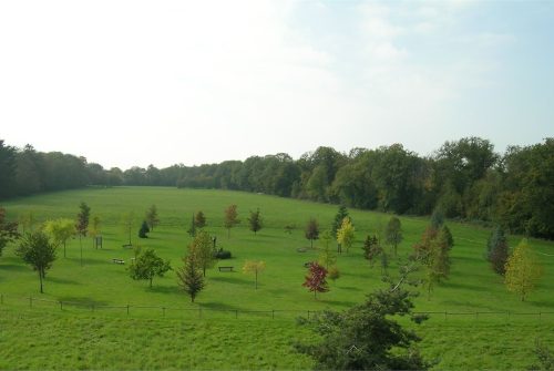 Arboretum von Ripaille