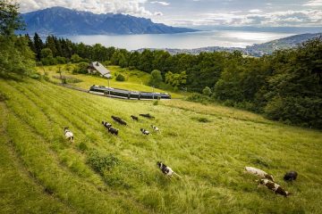 Gourmetabende auf dem Gipfel