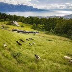 Gourmetabende auf dem Gipfel