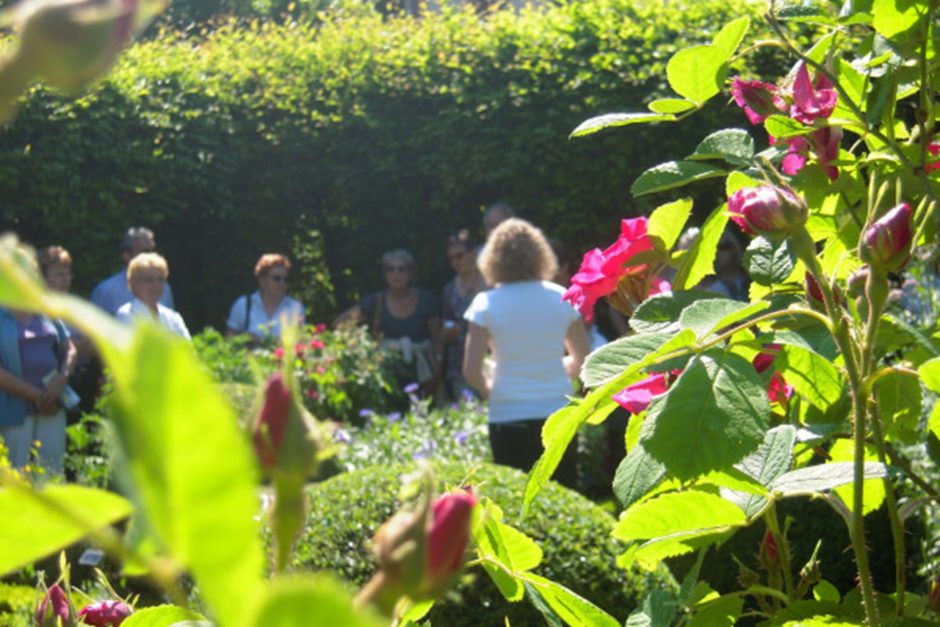 © Visite guidée au Jardin des 5 Sens - @Jardin 5 sens