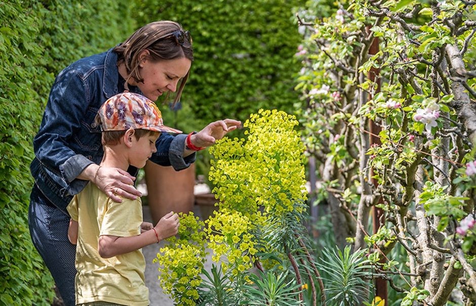 © Tour in die entgegengesetzte Richtung - Garten der fünf Sinne - @Jardin 5 sens