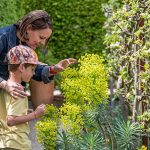 © Tour in die entgegengesetzte Richtung - Garten der fünf Sinne - @Jardin 5  sens