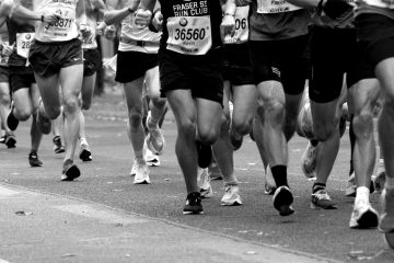 © The challenge of fort l'Ecluse - wal_172619