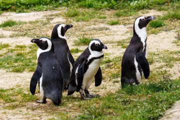 © Ostereiersuche im Tropiquarium - Tropiquarium