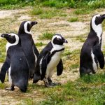 © Ostereiersuche im Tropiquarium - Tropiquarium