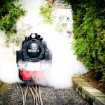 Swiss Vapeur Parc_Le Bouveret