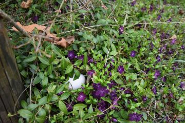 Ostereiersuche im Tropiquarium_Servion