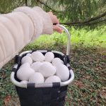 Ostereiersuche im Tropiquarium_Servion