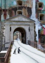 Sonderausstellung „Intuitions croisées“