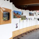 Das Haus des Gruyère