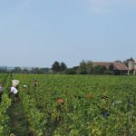 © Besichtigung und Verkostung des Schlosses La Tour de Marignan - O. Canelli