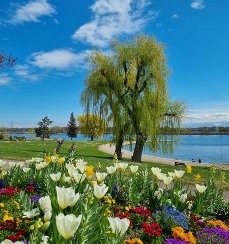 Himmelfahrtswochenende: 10 Aktivitäten rund um den Genfer See