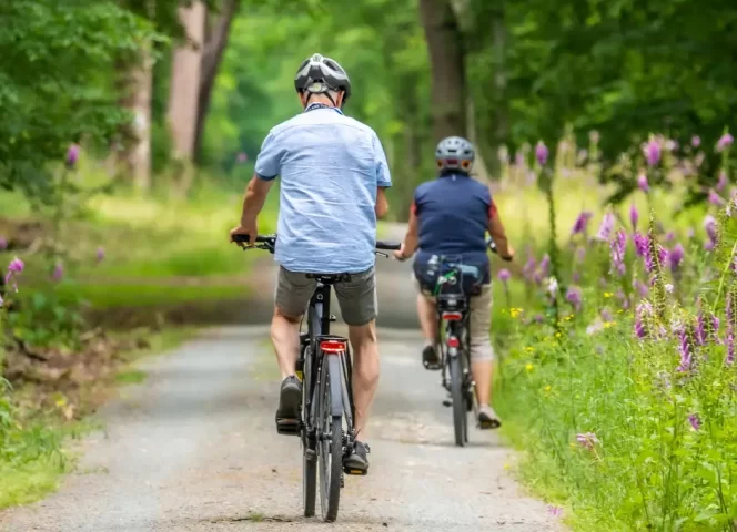 Die 8 schönsten Radrouten rund um den Genfersee