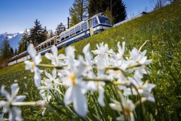 Au départ de Montreux, une escapade vertigineuse en train à crémaillère