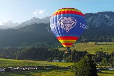 27585952_apidae-sheet-gallery-full