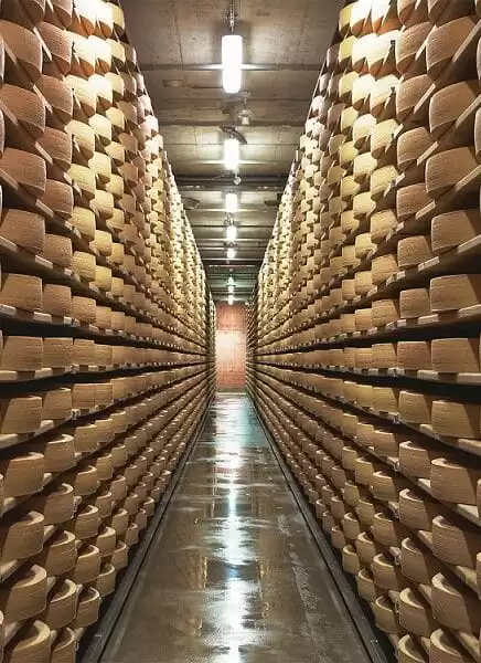 Affinage du Gruyère à la maison du Gruyère, à Pringy en Suisse